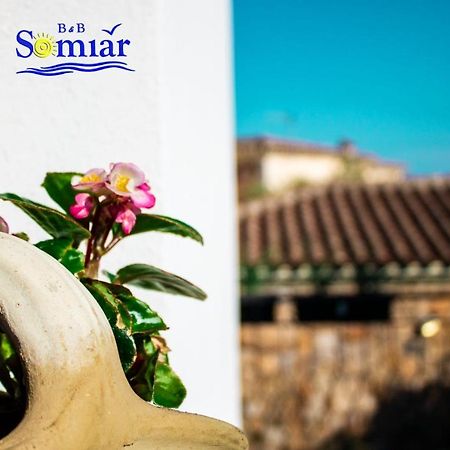 B&B Somiar 圣特奥多罗 外观 照片