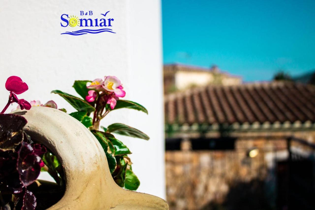 B&B Somiar 圣特奥多罗 外观 照片