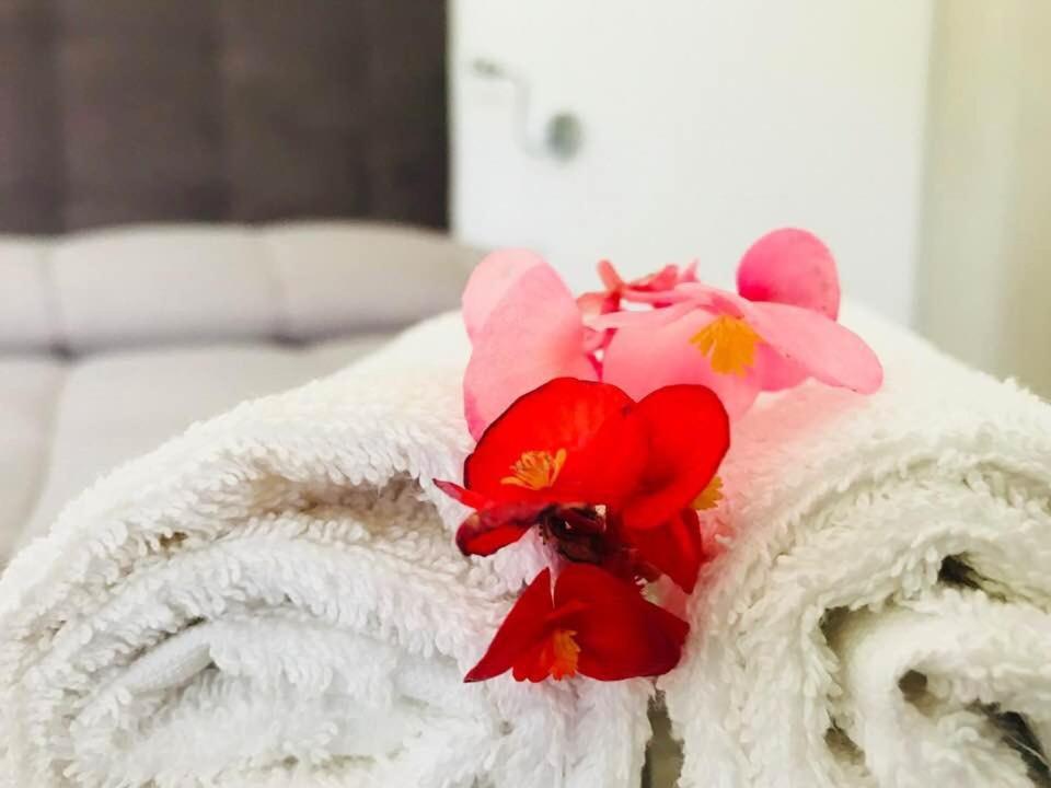 B&B Somiar 圣特奥多罗 外观 照片